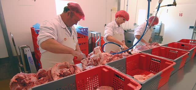 GUEZE Ardèche, Salaisons à Vernoux en Vivarais. Tri et découpe de la viande.